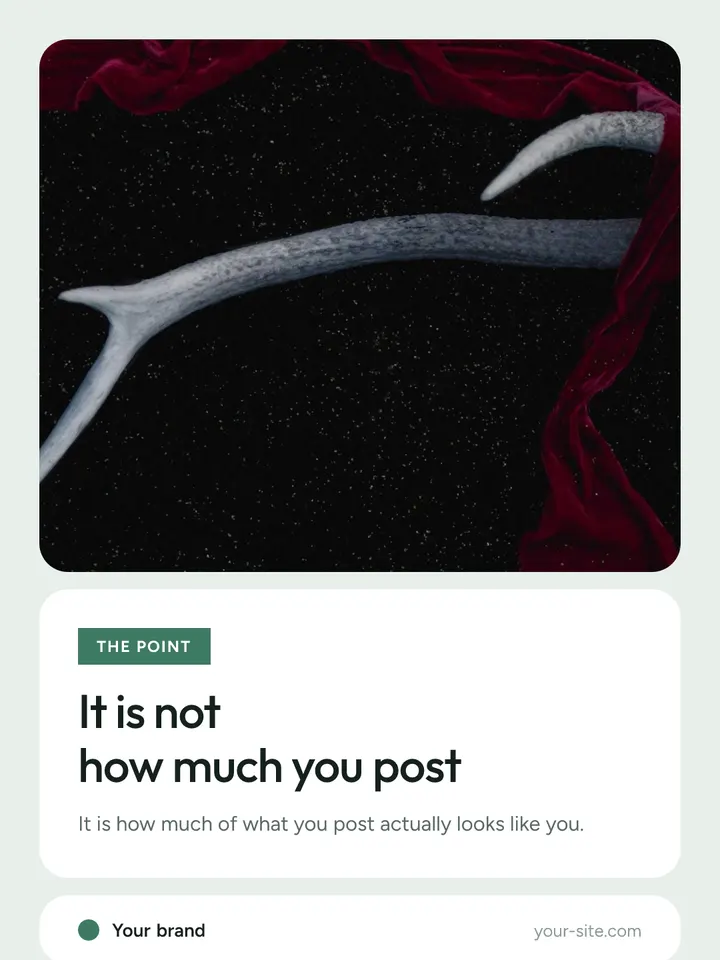 Morbido — Full photo