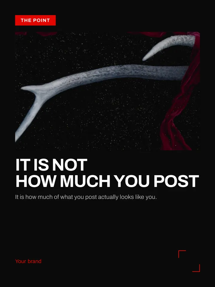 Protesta — Full photo